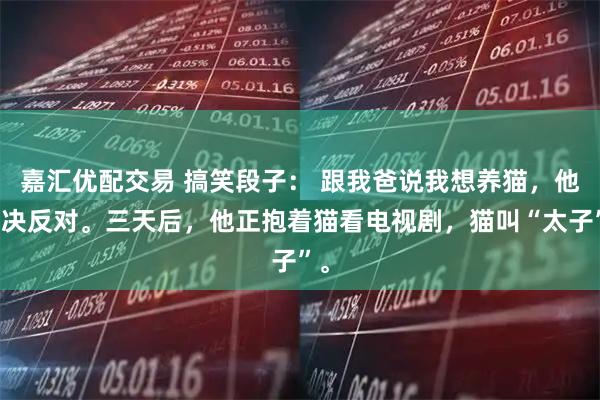 嘉汇优配交易 搞笑段子： 跟我爸说我想养猫，他坚决反对。三天后，他正抱着猫看电视剧，猫叫“太子”。