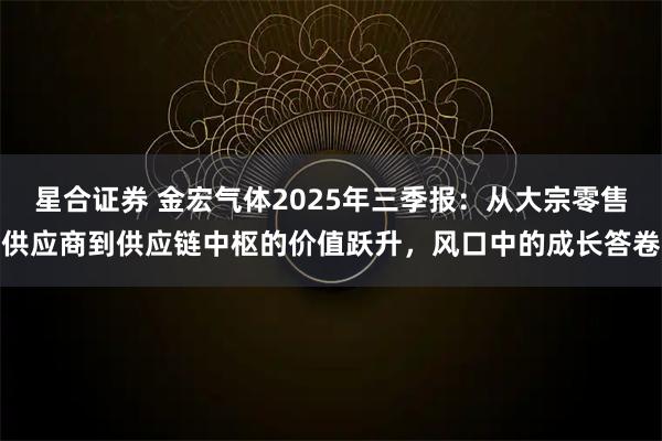 星合证券 金宏气体2025年三季报：从大宗零售供应商到供应链中枢的价值跃升，风口中的成长答卷